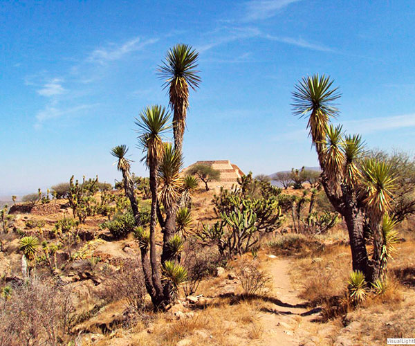 Sitio Arqueológico Pahñú Tecozautla Pueblo Mágico 01